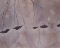 winter-traces-3-18x24-2012