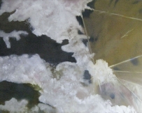 winters-glow-30x40-linen-2013